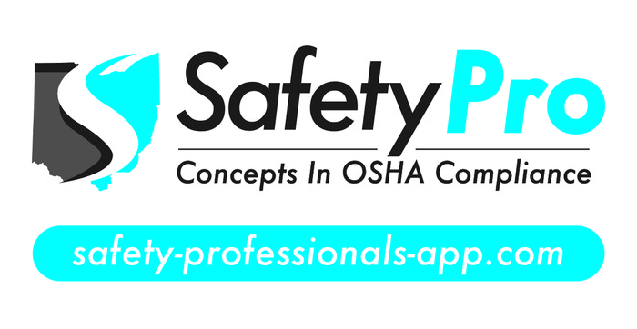 SafetyPro Logo