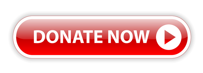 Donate Button