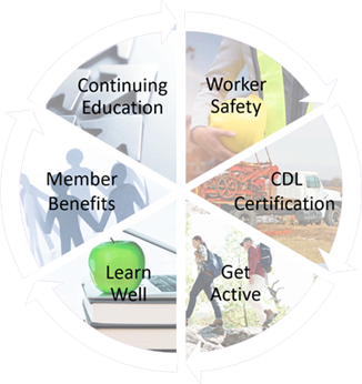 wellness wheel wellness wheel